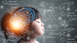 brain critical development