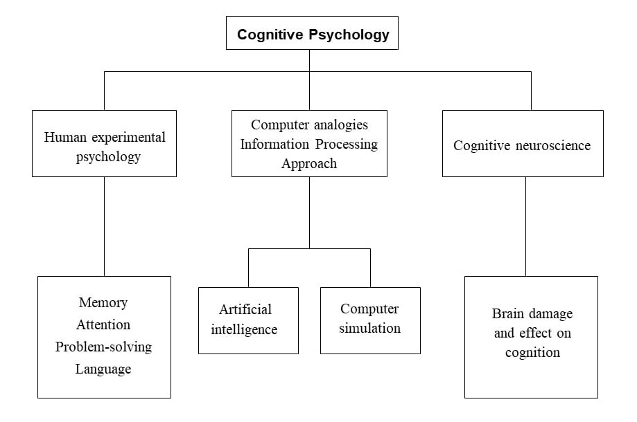 cognitive psychology sub-topics