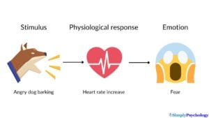 An image illustrating the James-Lange Theory of Emotion. The stimulus = an angry dog barking, arrow pointing to physiological response = heart rate increase. Arrow pointing to the emotion = fear response.