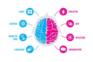 Left and right human brain concept. Logic and creative hemispheres infographics with brain and icons of science, sense of time, language, creative, art, intuition, imagination, vector illustration