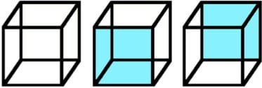 necker cube 