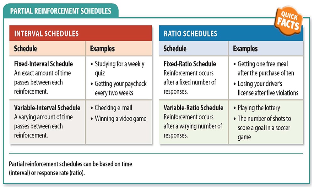 Partial (Intermittent) Reinforcement Schedules