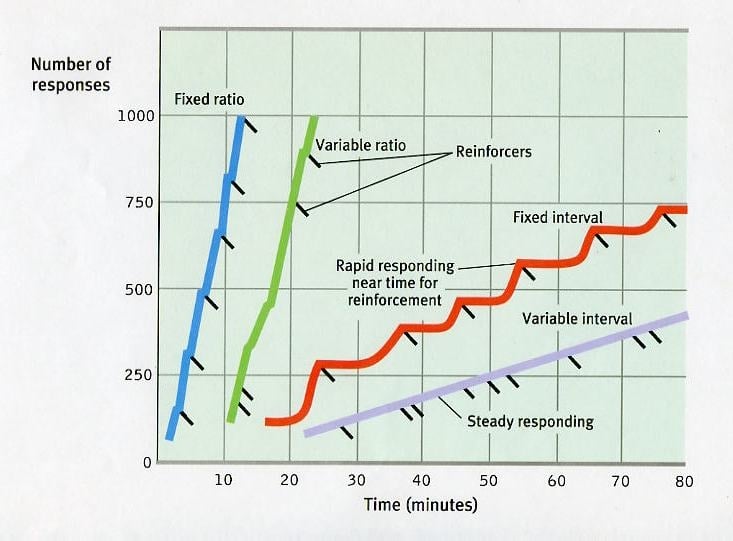 Reinforcement Schedules Graph