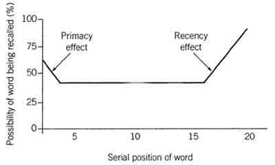 serial position effect