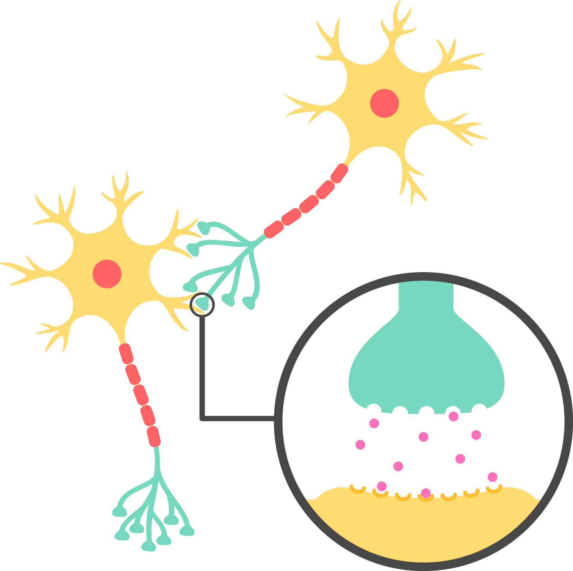 a diagram of two neurons with a close up included of a synapse