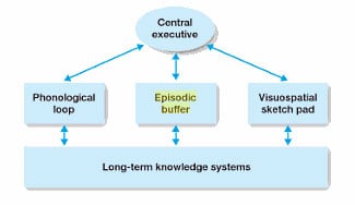 episodic buffer