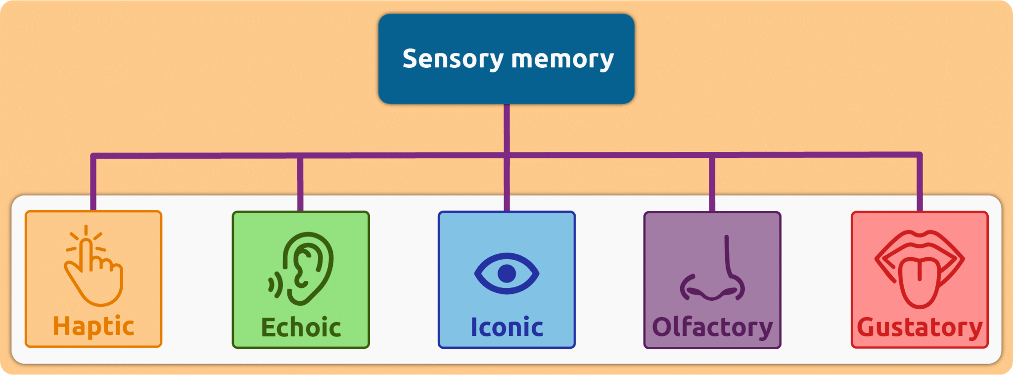 sensory memory registers.