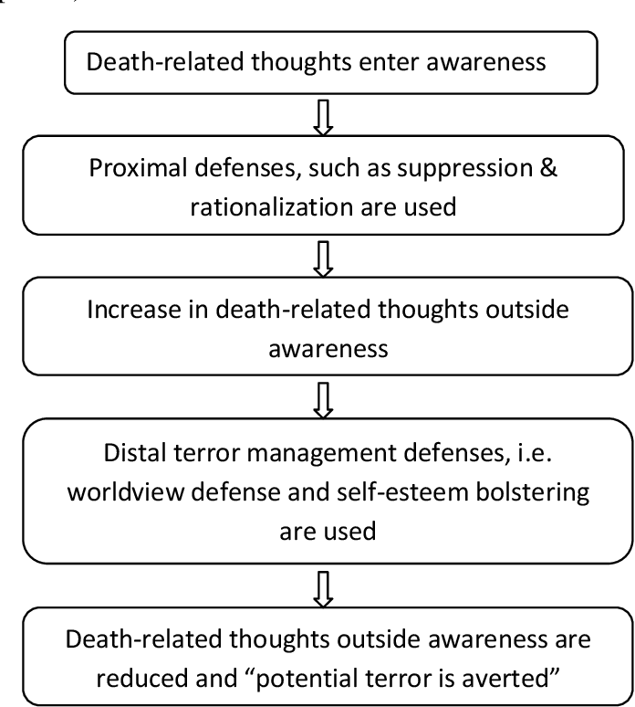  Terror Management Theory flowchart of events.